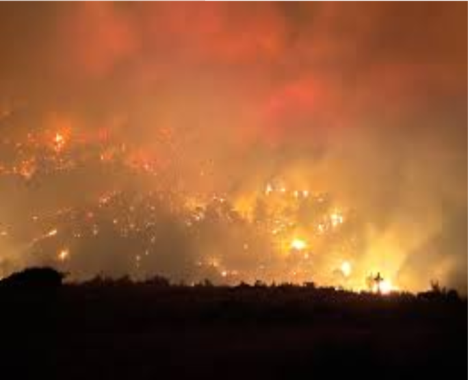 Colorado+Fires