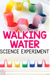 Walking Rainbow Water Experiment