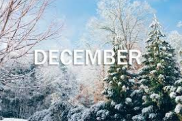 Strange Holidays in December