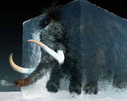 Scientists Believe They Can Bring the Wooly Mammoth Back