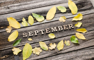 Useless Complicated Information of Uselessness - September