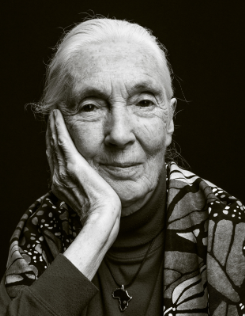 Jane Goodall's Death