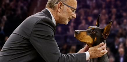 The 2026 Westminster Dog Show